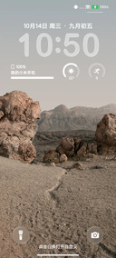 金标果子