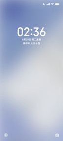 拟态光