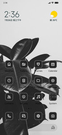 Dark Plant