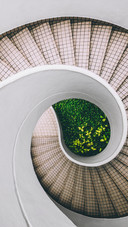 vcg-test