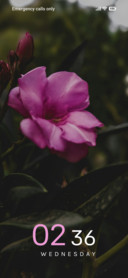 Rosy Glow