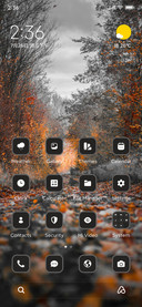Forest