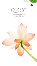 莲花绽放