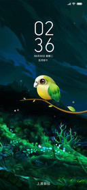 小鹦鹉多壁纸