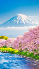 Scenery (9)