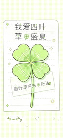 我爱四叶草的盛夏