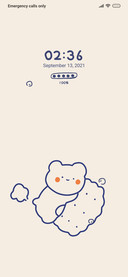 Bear cookies