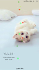 萌萌哒  小奶猫