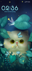 My little Kitty