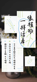 像植物一样活着