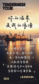 你的温柔是我的浪漫