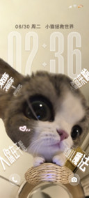 得劲魔法 趣味猫咪