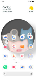 SAN small