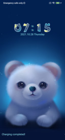  starry sky bear