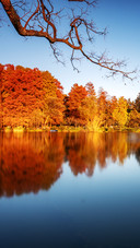 Crescent lake in autumn