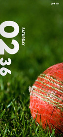 Ground Cricket