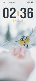 Winter Bird