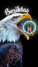 BESIKTAS BJK SPOR 1903