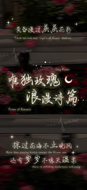 唯独玫瑰浪漫诗篇