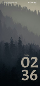Dark Forest