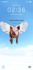猪年空降小飞猪