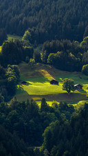 Dreamy alpine slope view