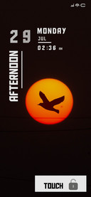 Dark Bird