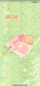 Picnic bear