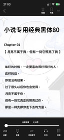 小说专用经典黑体80