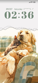 Cat and Dog Time