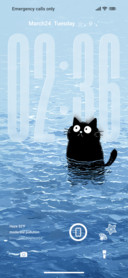 Swimming Cat