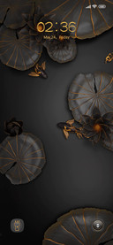 Golden Koi