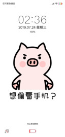 猪猪的精致生活 滚