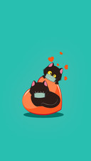 猫的爱意让人喘不过气