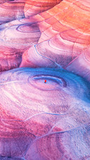 Solidified tree rings