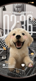 鱼眼小狗重力景深