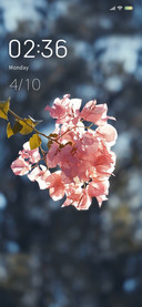 Spring sun