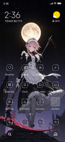 Moonlit Night