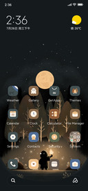 Forest Night