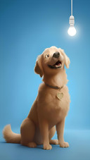 Dog starring happily at a light bulb
