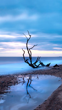 The beach reflection