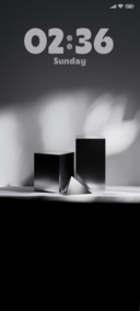 Silent Shadows