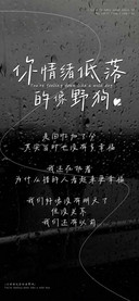 你情绪低落的像野狗
