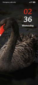 Black Swan