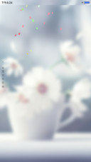花开伴夏