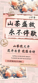 山茶盛放永不停歇