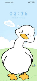 Shake Head Duck