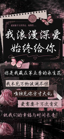 我浪漫深爱始终给你