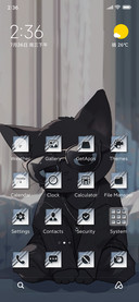 Black Cat