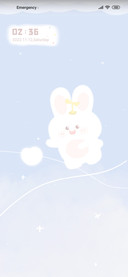 Sky rabbit